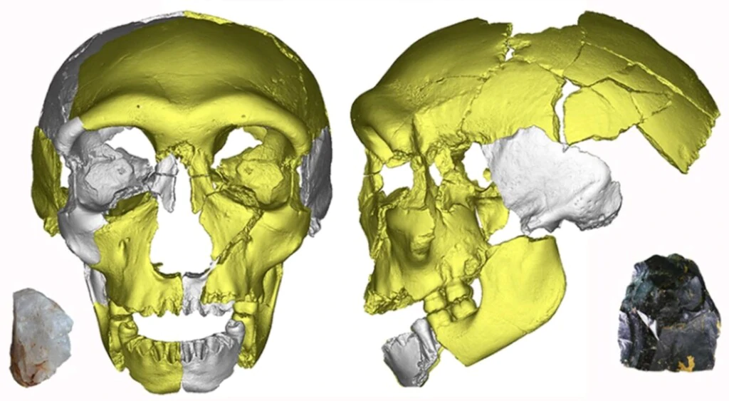 fossile grotte Hualongdong cina