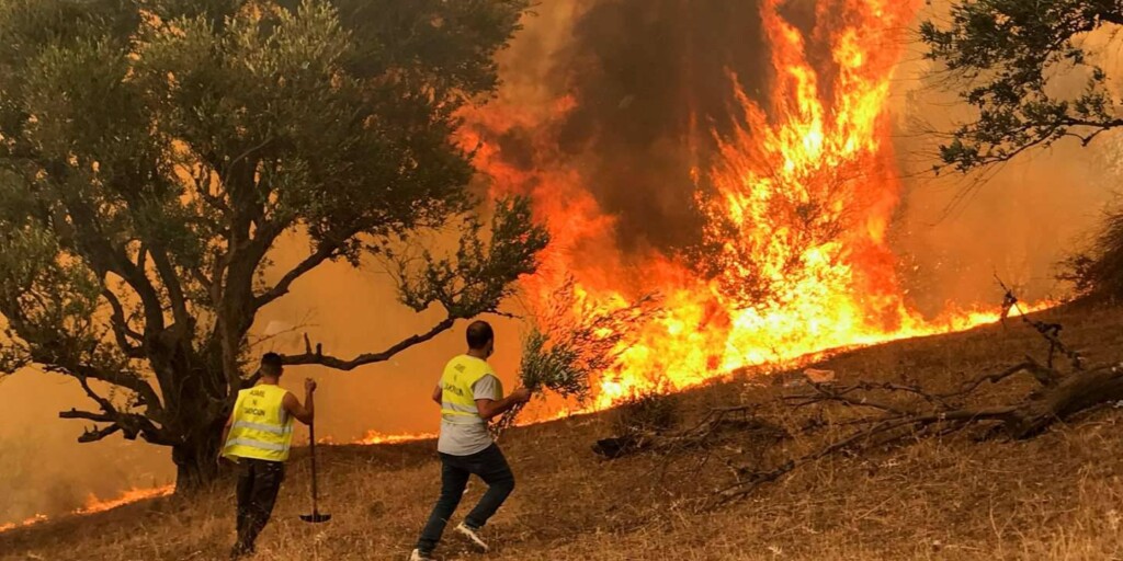 incendi algeria