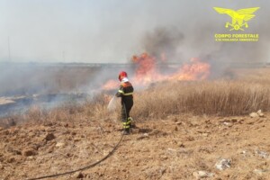 incendi sardegna