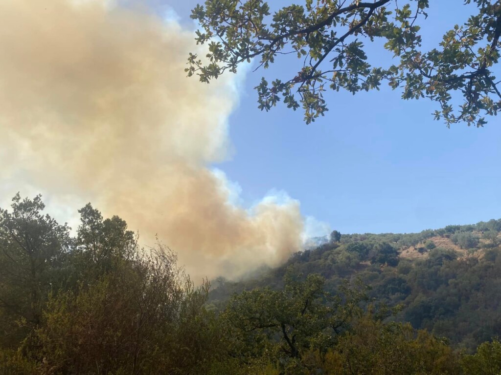 incendi sicilia