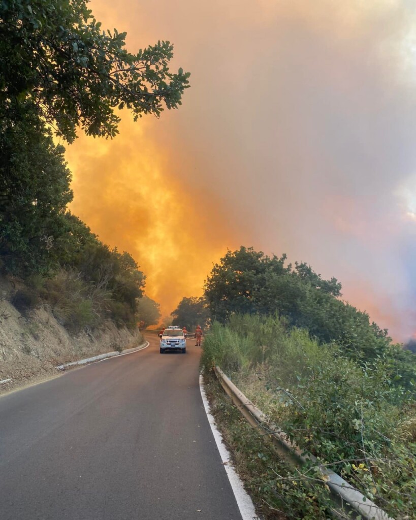 incendi sicilia