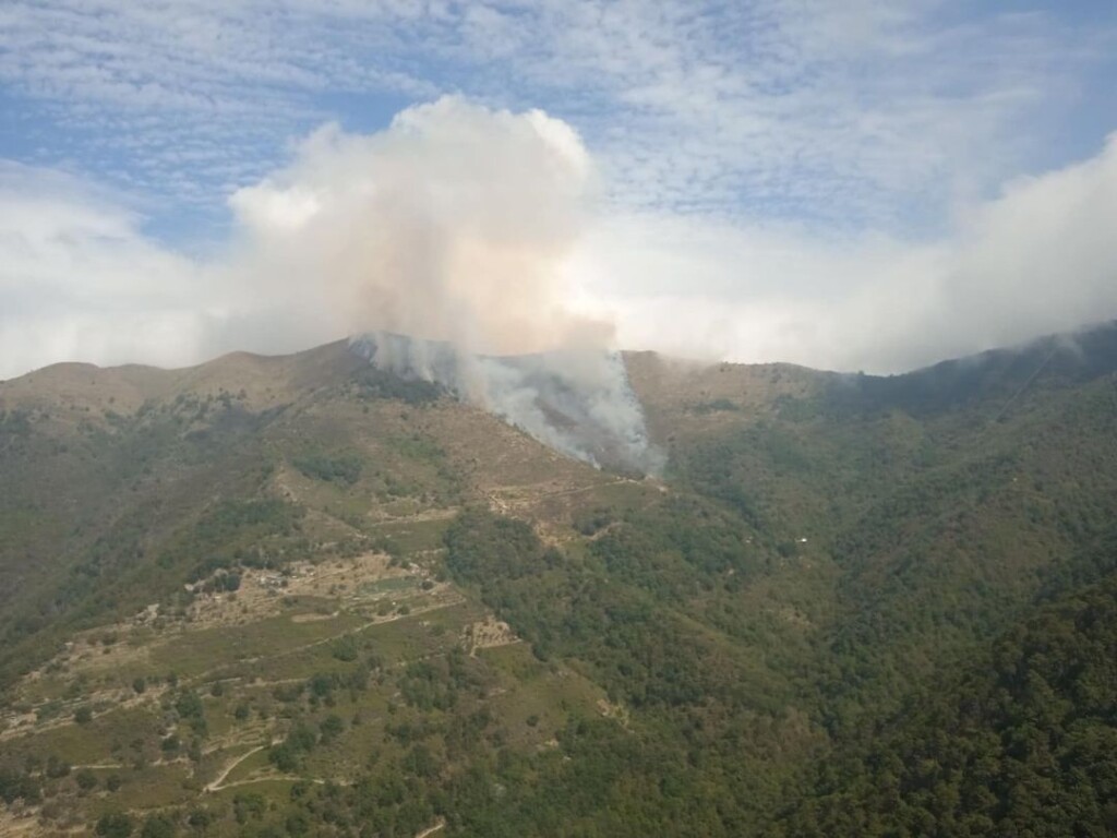 incendio Montalto Carpasio