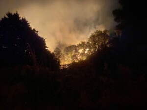 incendio bagnolo