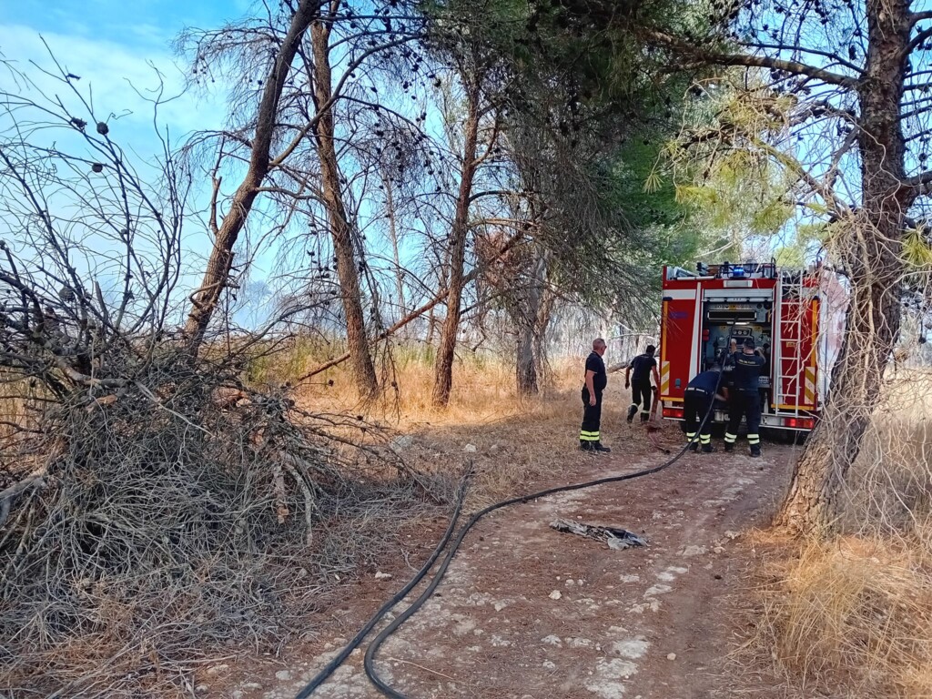 incendio lequile