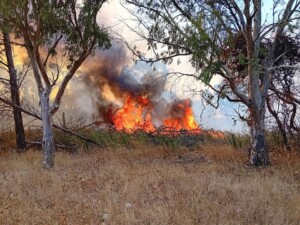 incendio lequile