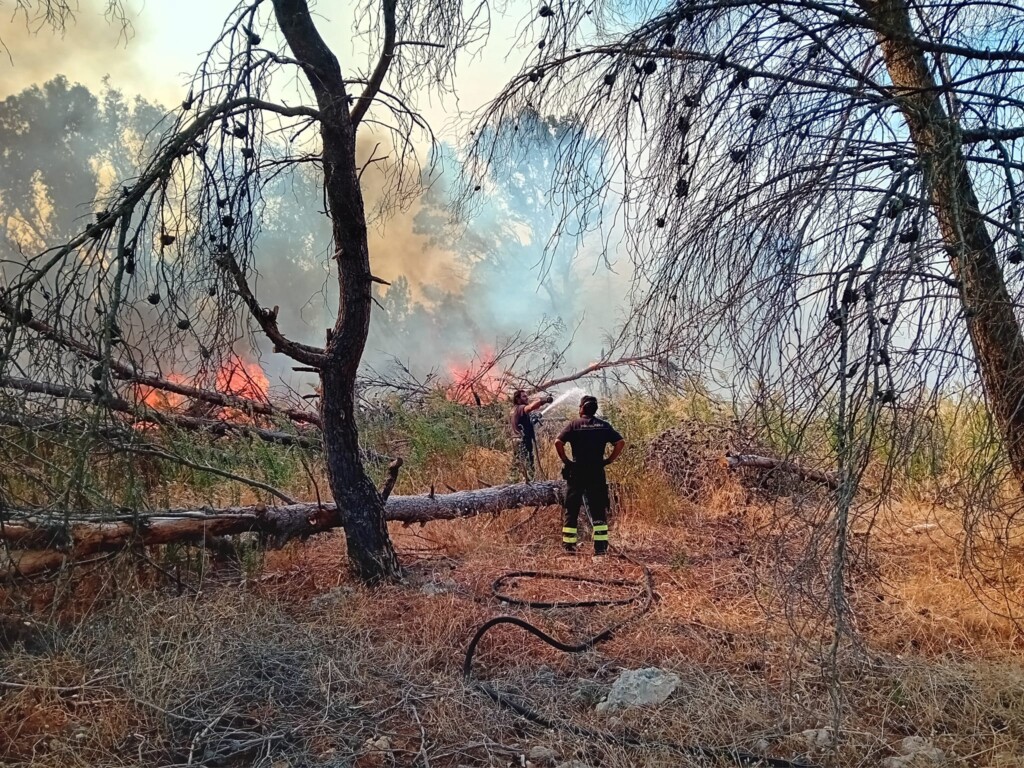 incendio lequile
