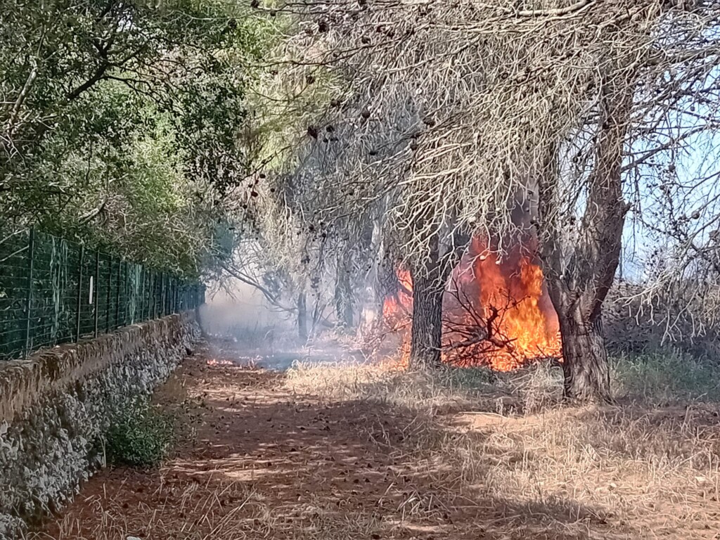 incendio lequile