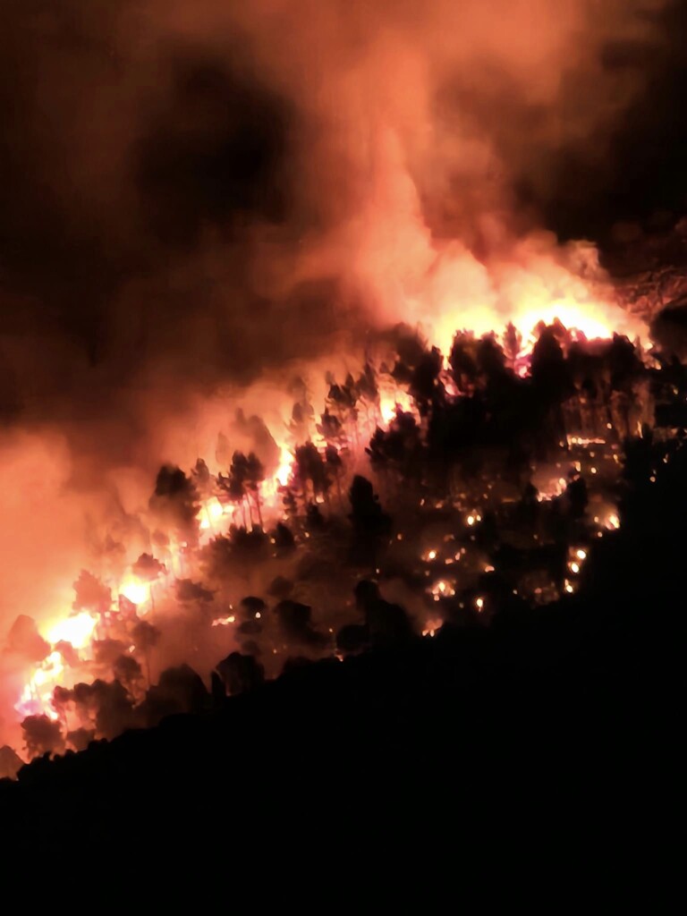 incendio monte talanico