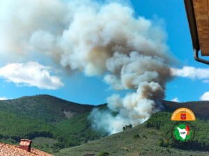 incendio pisano