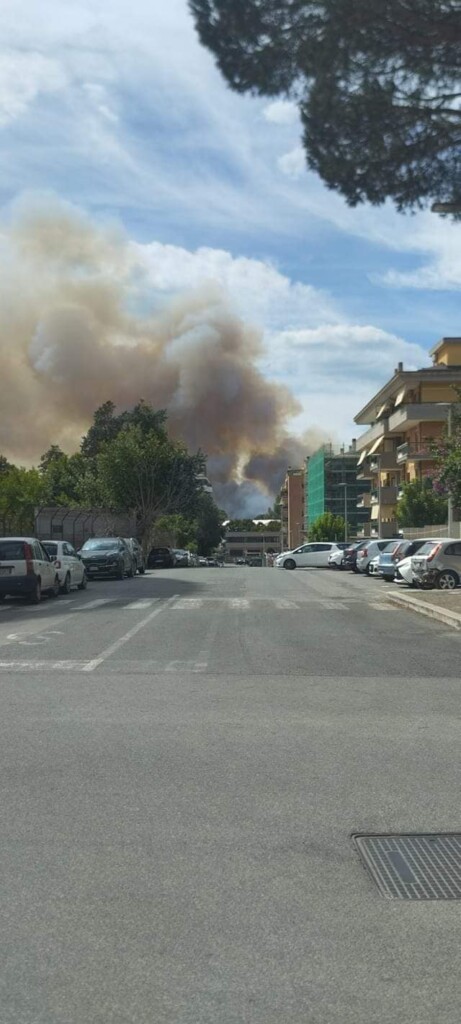 incendio pomezia