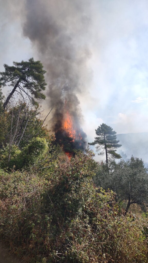 incendio schignano toscana