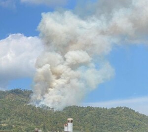 incendio schignano toscana