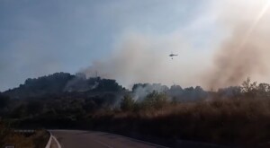 incendio tavenna molise