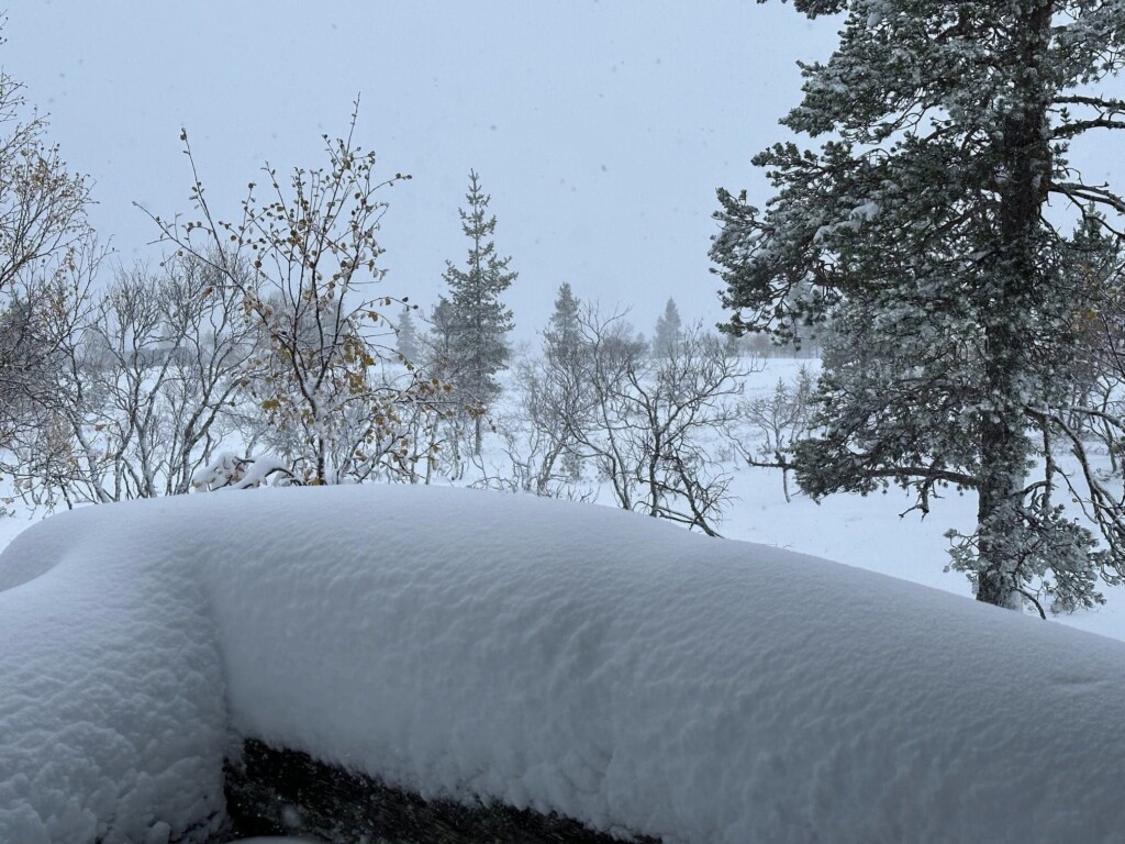 neve finlandia