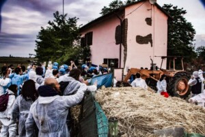 peste suina rifugio zinasco