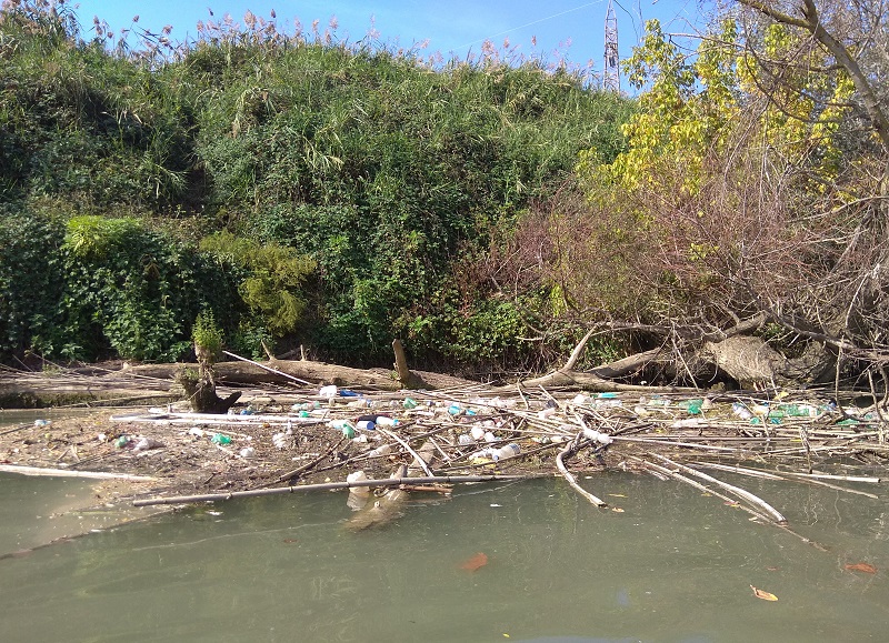 rifiuti dispersi fiumi Tevere ispra