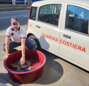 tartaruga marina ferita giardini naxos