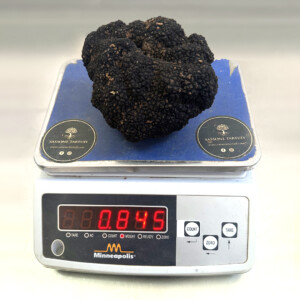 tartufo calabria
