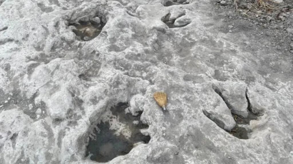 tracce dinosauri texas