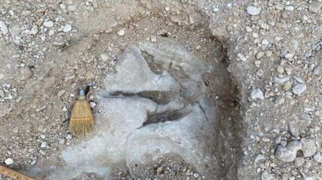 tracce dinosauri texas