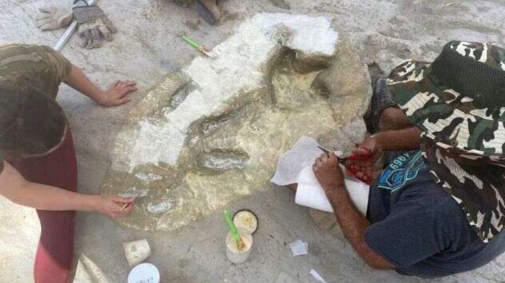 tracce dinosauri texas