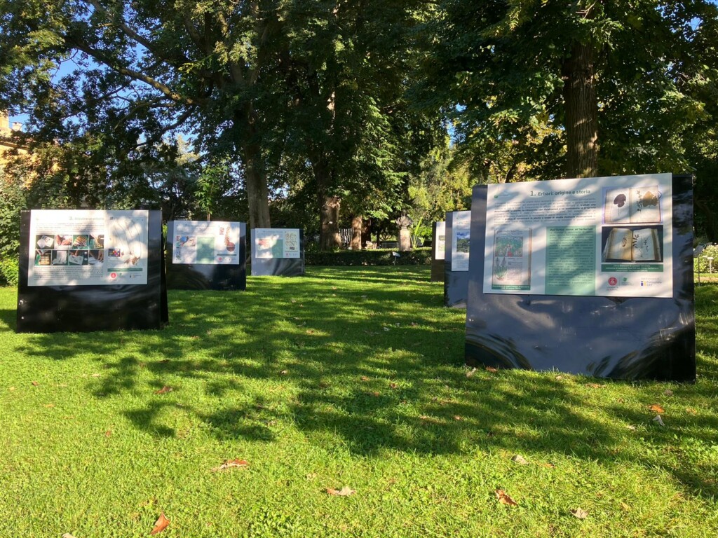 Mostra Erbario università torino