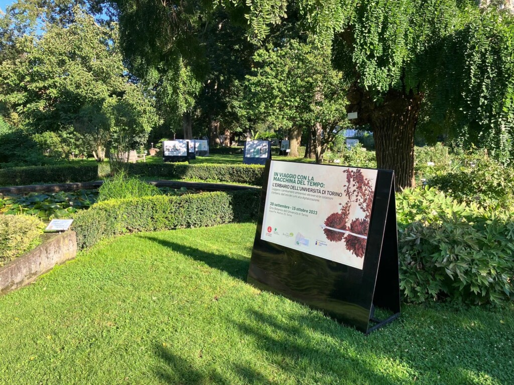 Mostra Erbario università torino