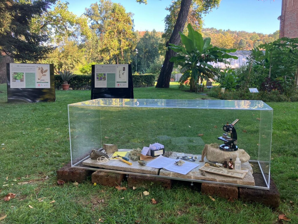 Mostra Erbario università torino
