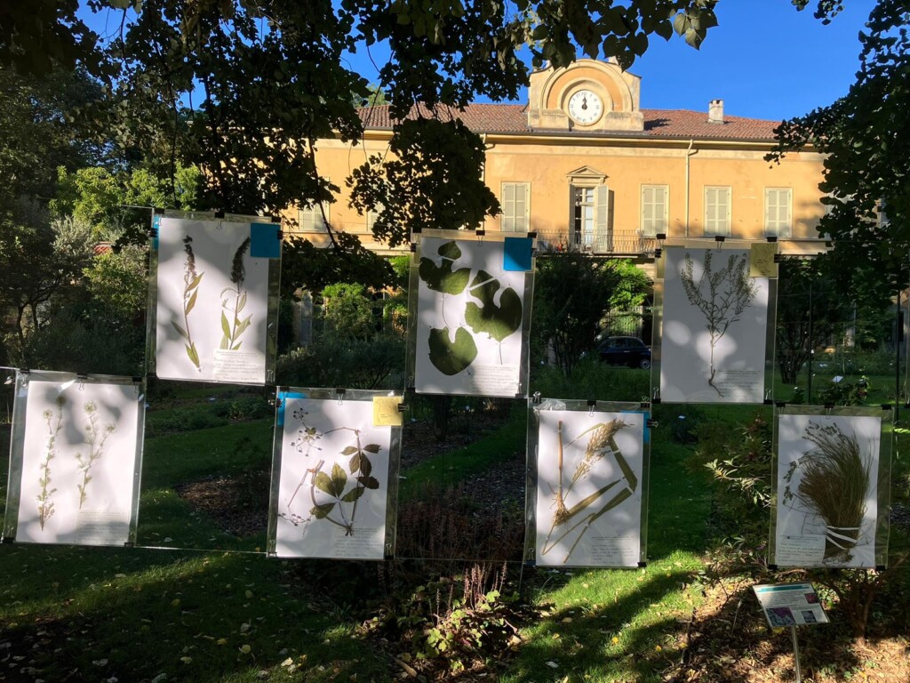Mostra Erbario università torino