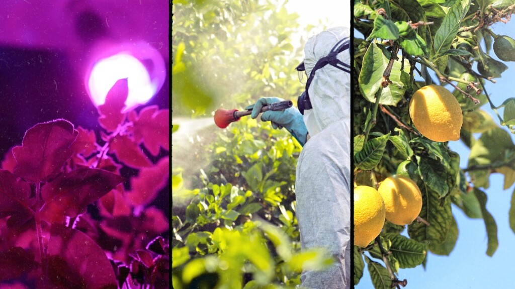 agricoltura enea pesticidi raggi uv