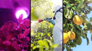 agricoltura enea pesticidi raggi uv