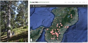 alberi monumentali