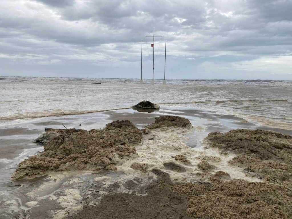 alta marea grado