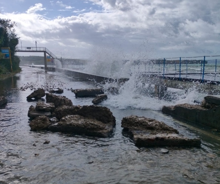 alta marea muggia