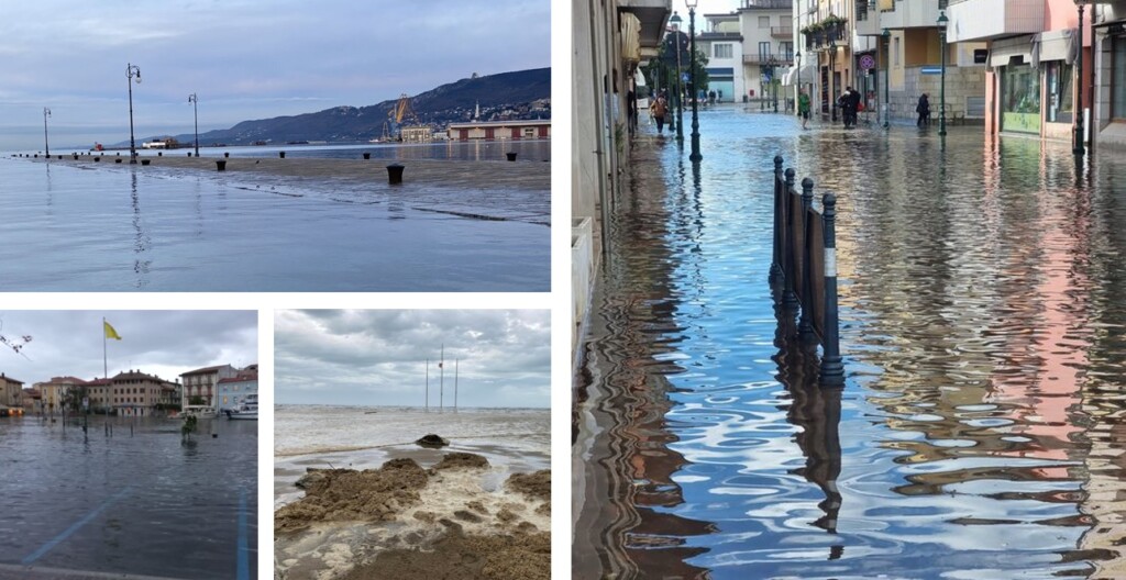 alta marea trieste grado