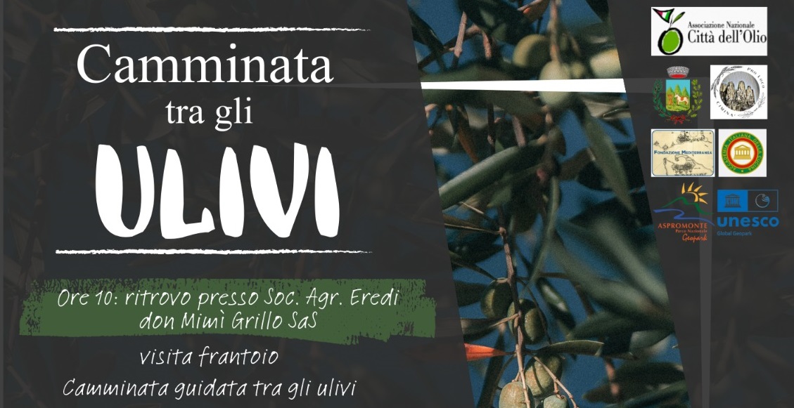 camminata tra gli olivi ciminà