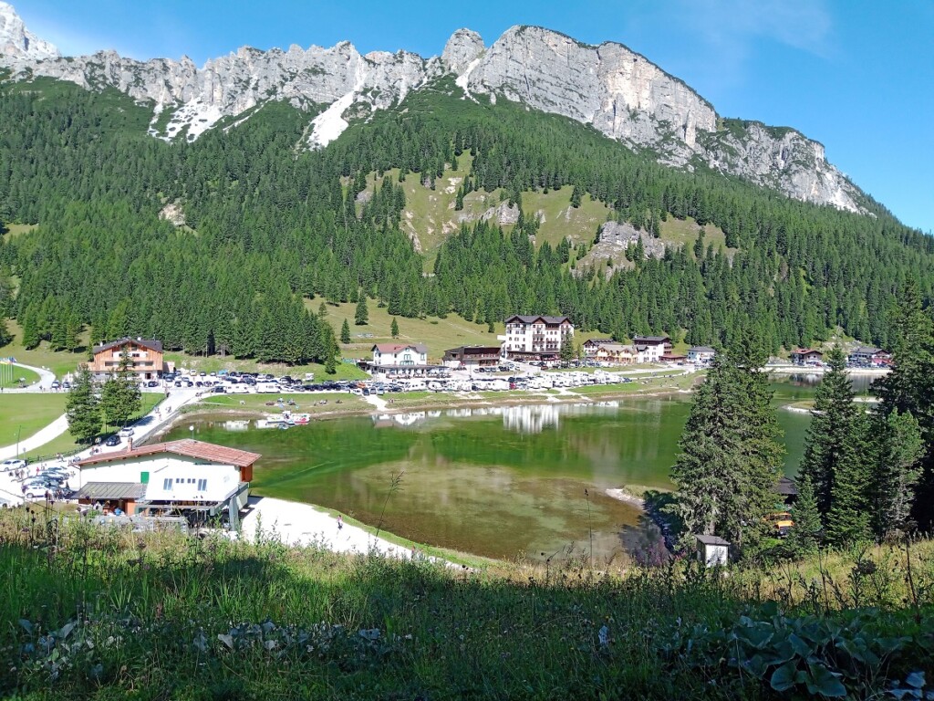 foreste asma - LAGO DI MISURINA - PARTE SUD