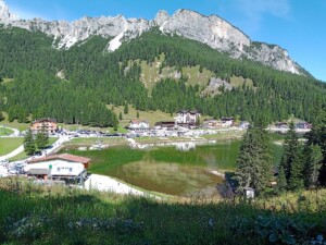 foreste asma - LAGO DI MISURINA - PARTE SUD