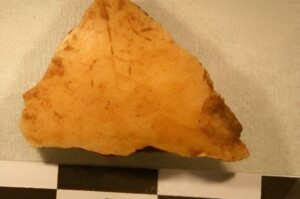 frammento cranio crimea