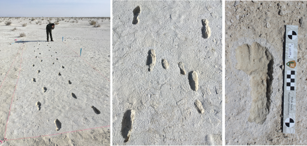 impronte umane fossili white sands nord america
