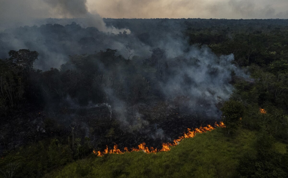 incendi amazonas brasile
