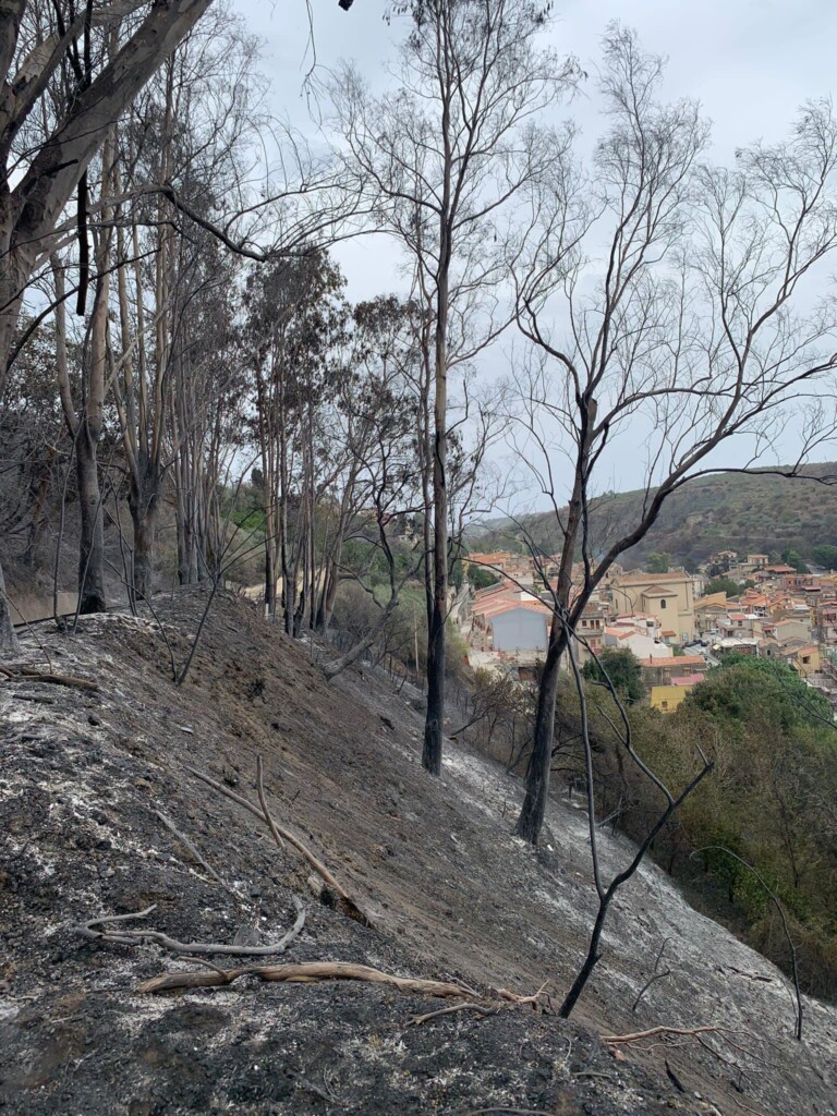 incendi messinese sicilia