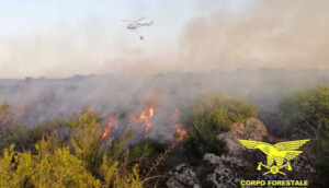 incendi sardegna