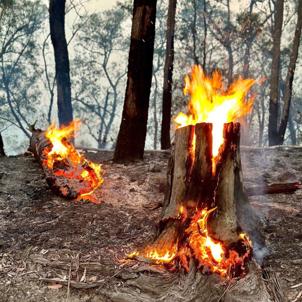 incendi victoria australia