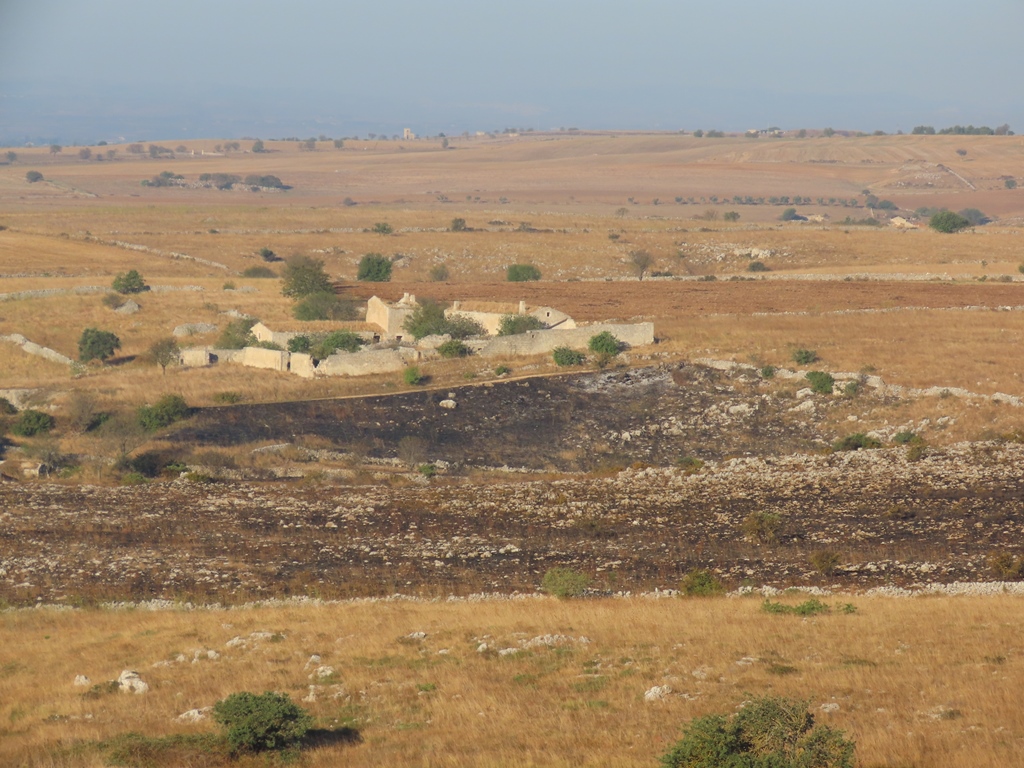 incendio Murgia Labarile