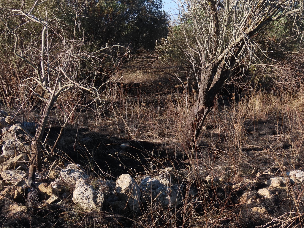 incendio Murgia