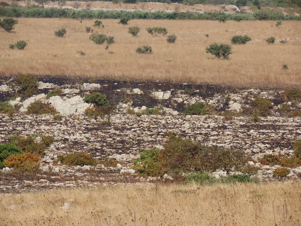 incendio Murgia