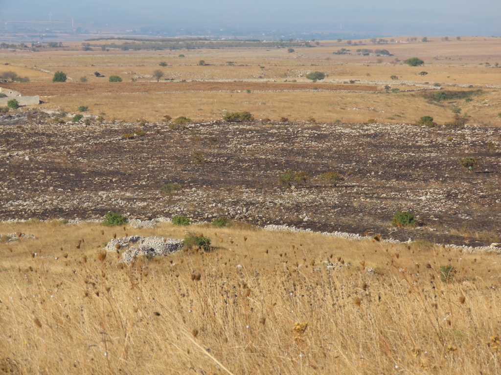 incendio Murgia