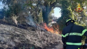 incendio castelplanio