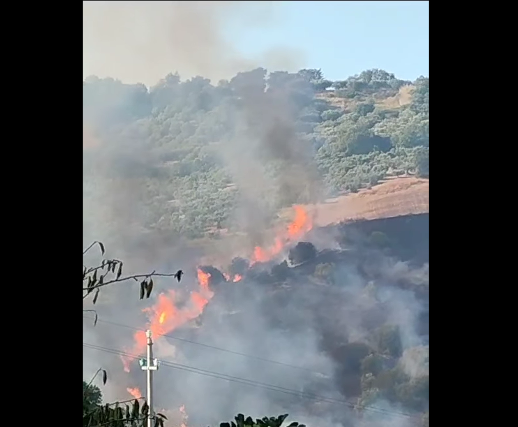 incendio guglionesi molise